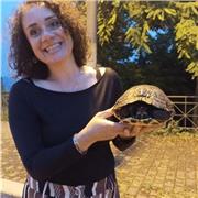 Insegnante per aiuto compiti per medie, prima e seconda superiore